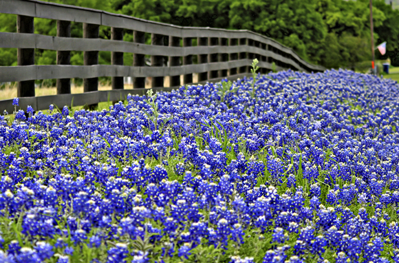 Texas Hill Country