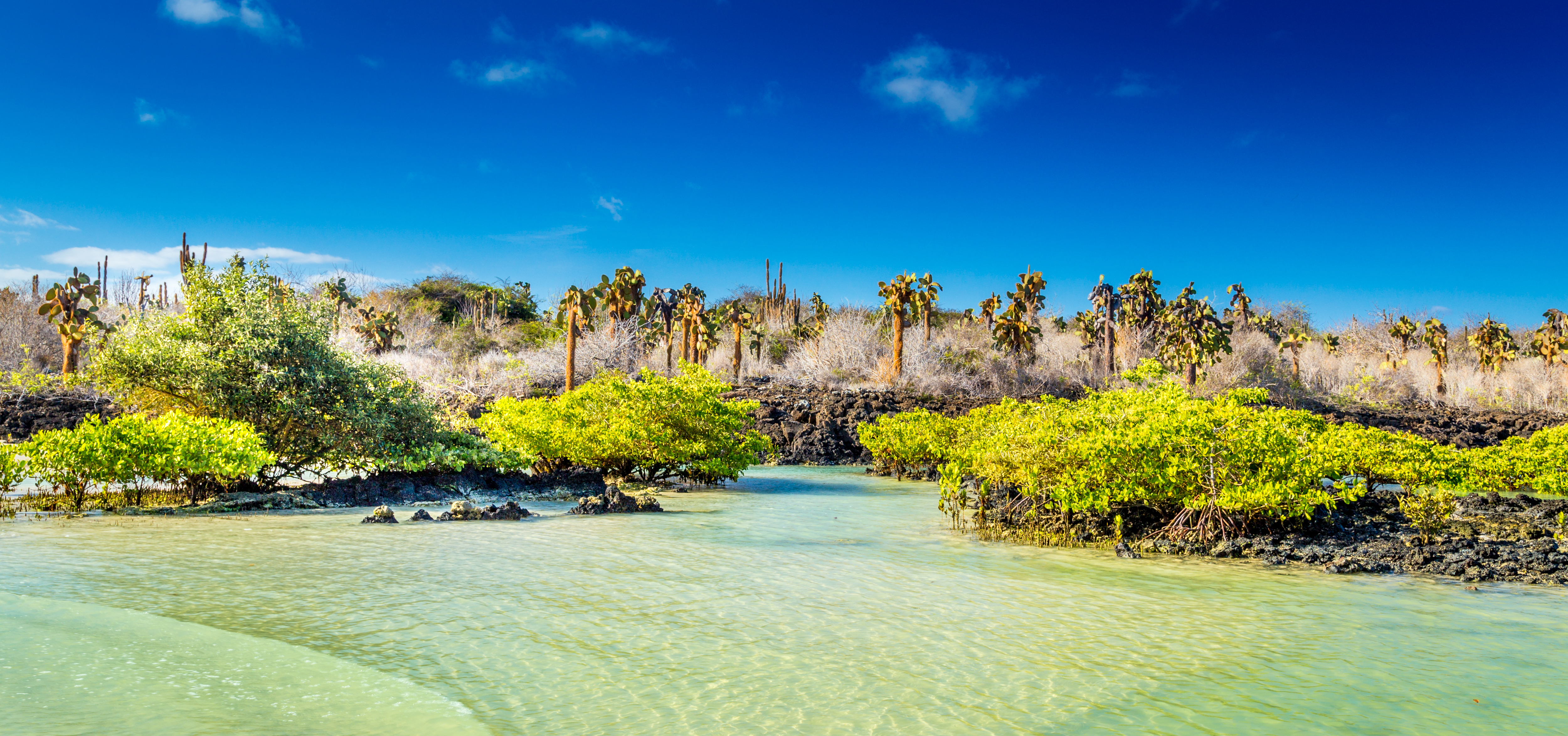 Galapagos An Island By Island Guide