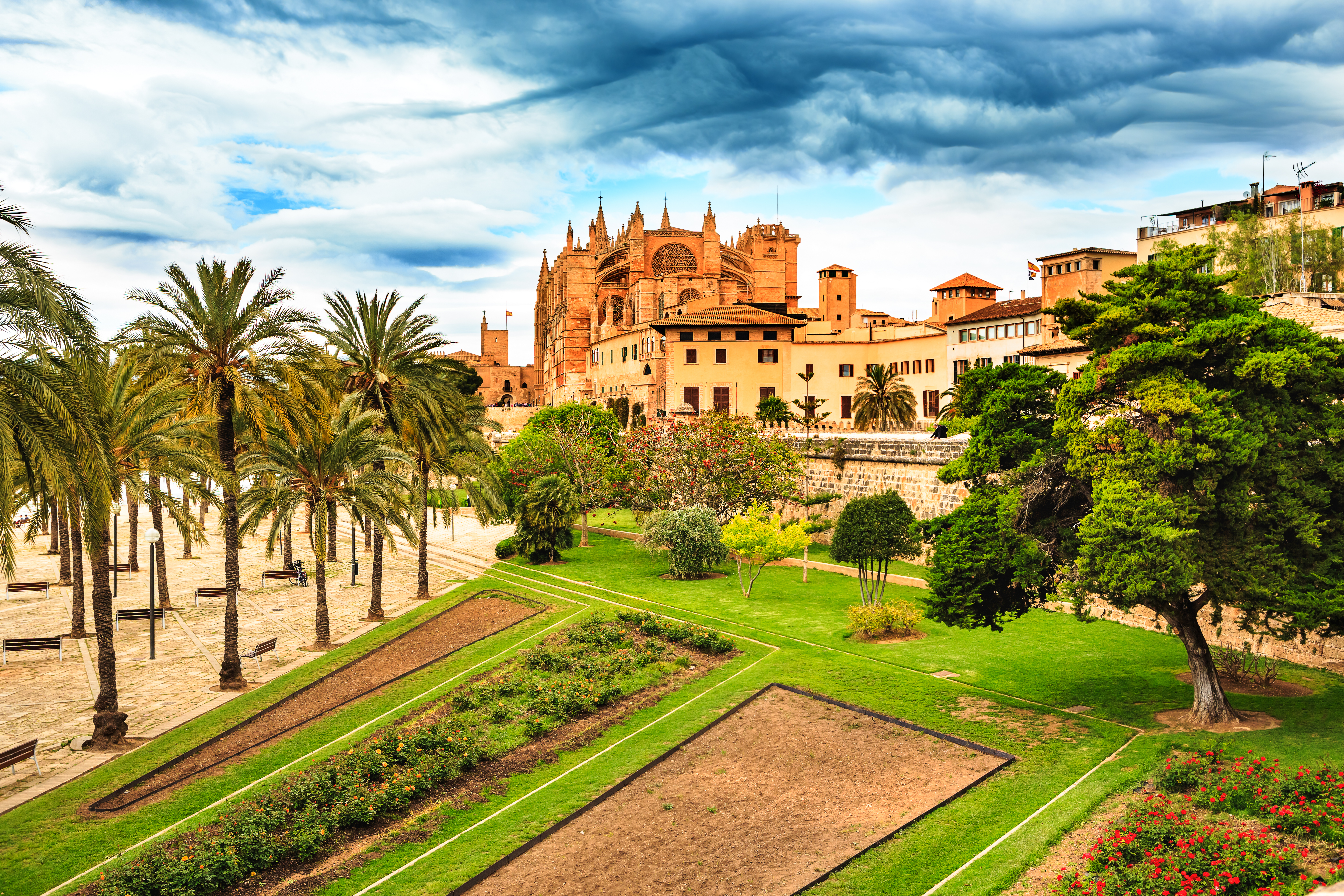 palma de mallorca