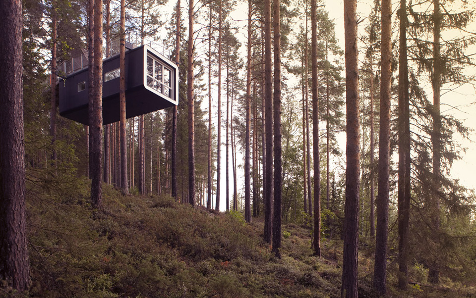 10 Most Incredible Tree House Hotels In The World