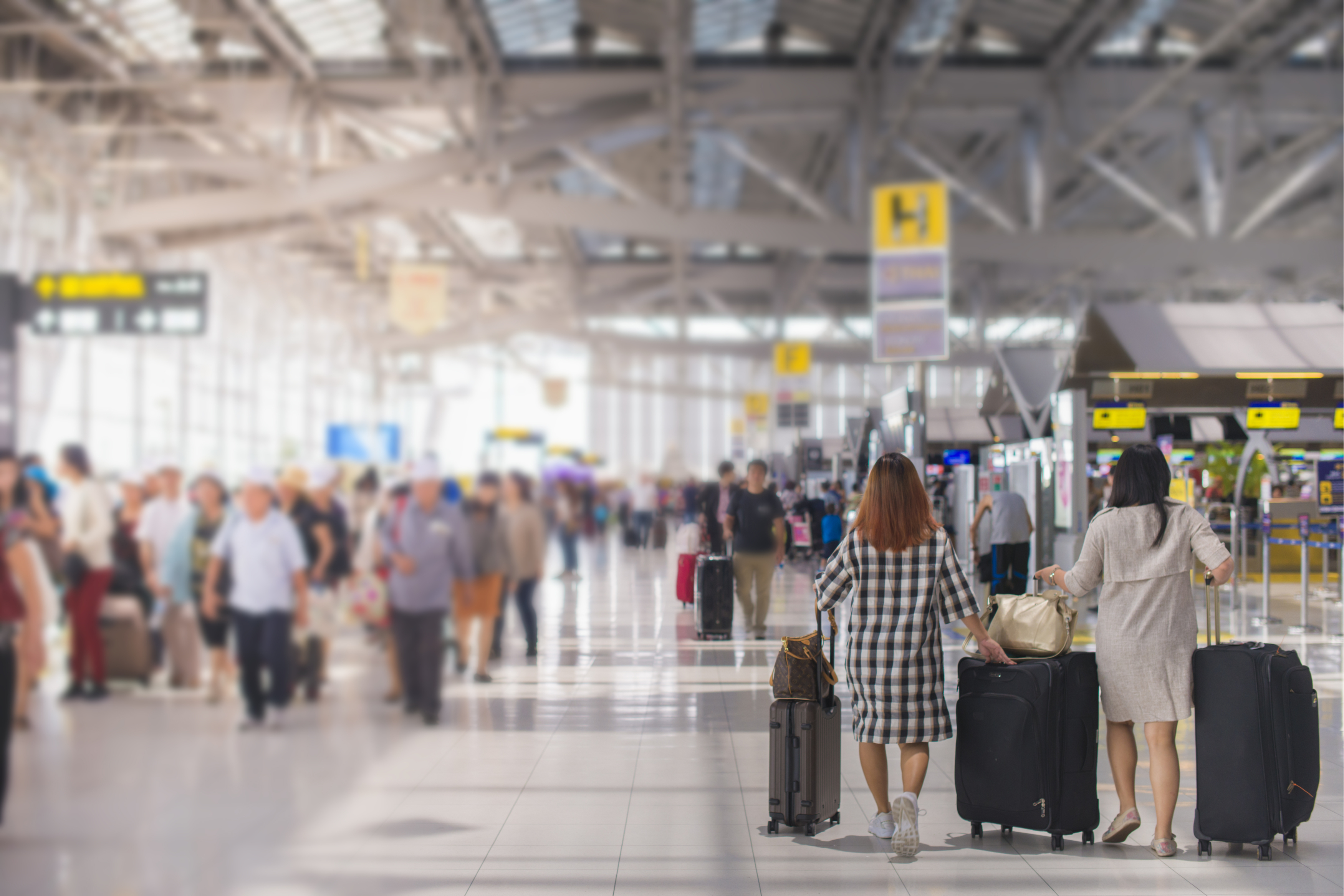 delayed baggage customs