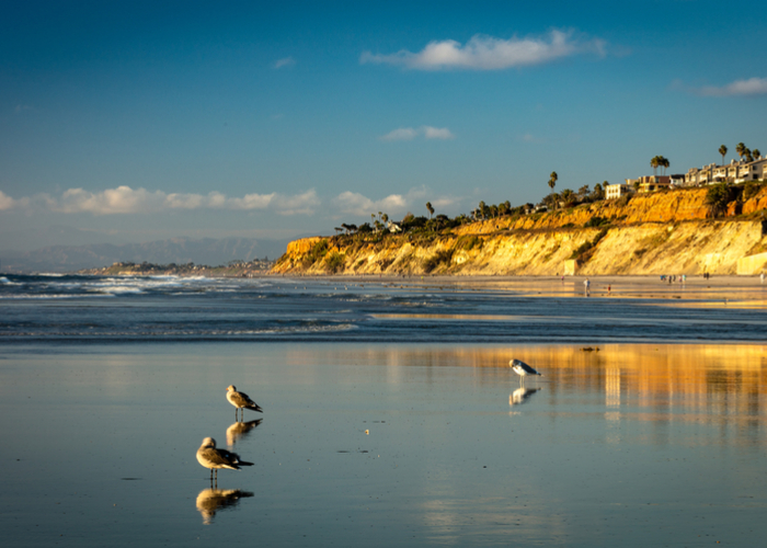 10 Best Beaches In San Diego