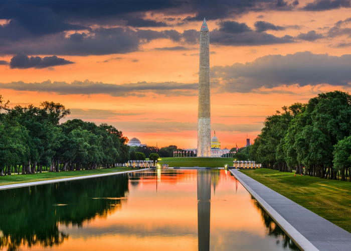 8 Fun Things To Do In Washington D C