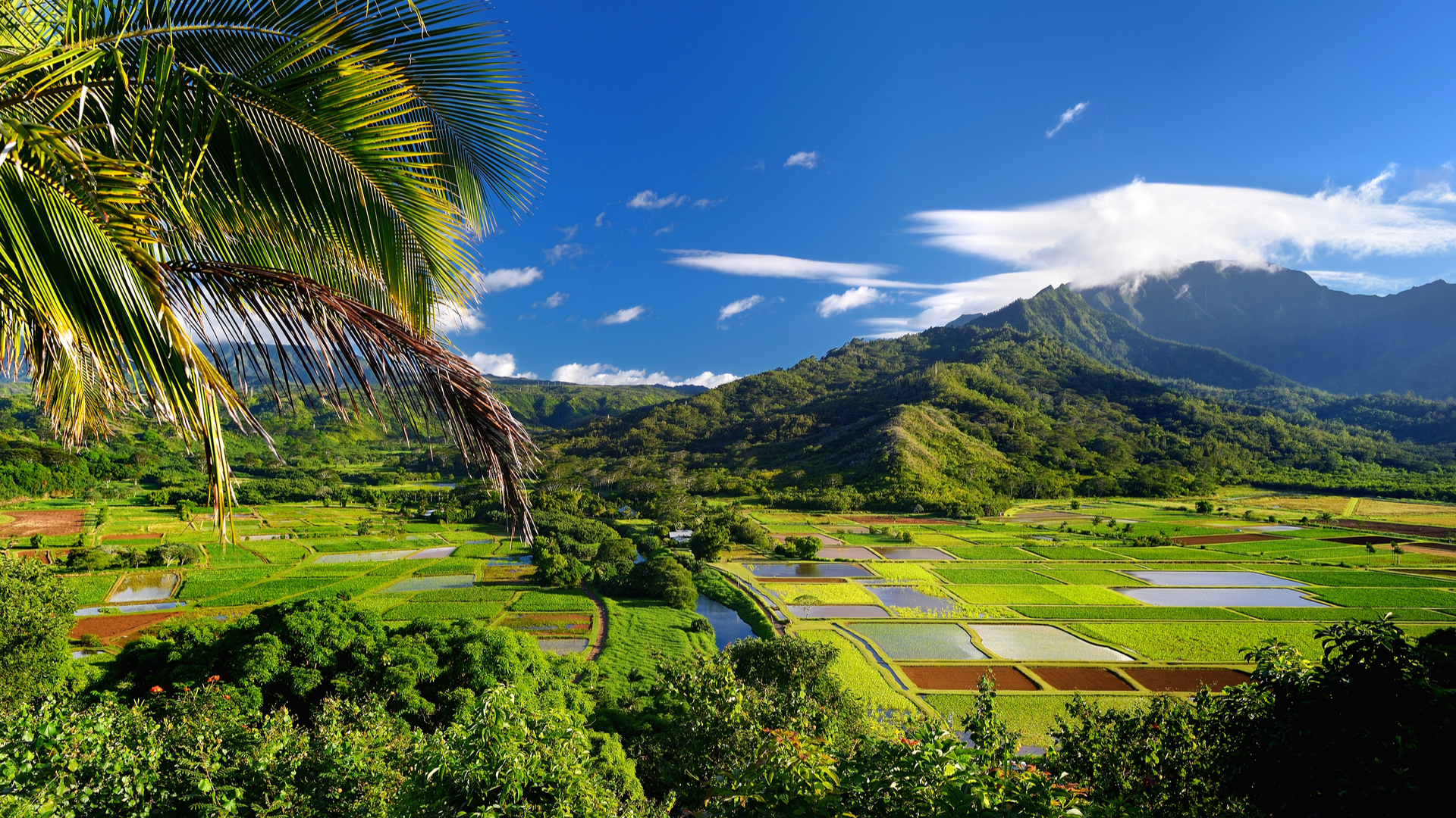 top-10-things-to-do-in-kauai-hawaii-kids-matttroy