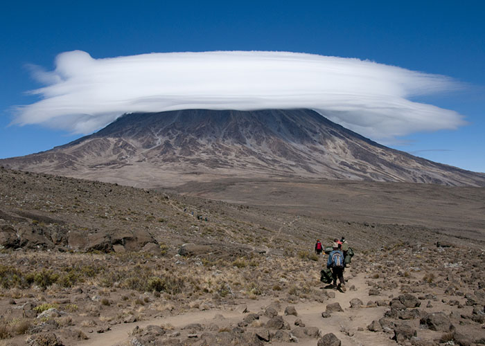 rongai route kilimanjaro