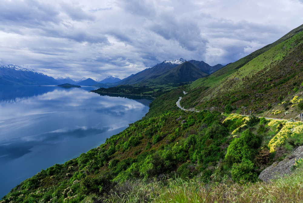 Road winding along a scenic stretch of the new zealand coast