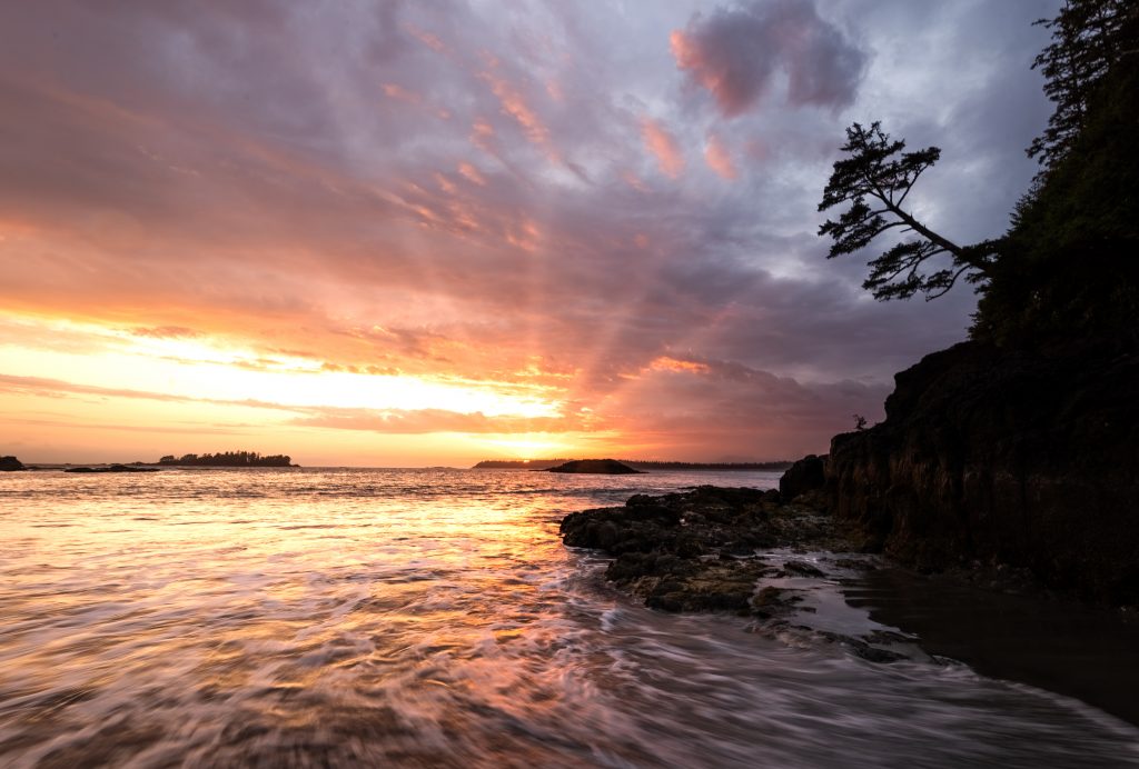 Ocean and land in tofino on vancouver island