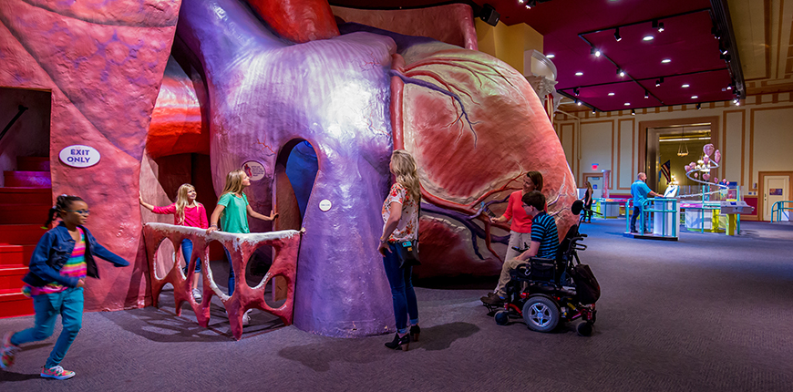 giant heart at the franklin institute in philadelphia.