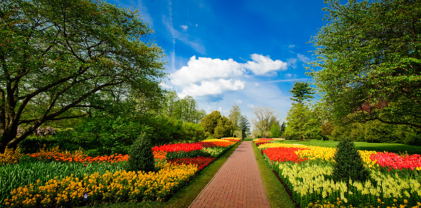 longwood gardens in spring.