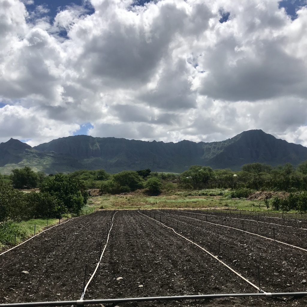 farm land on hawaii.