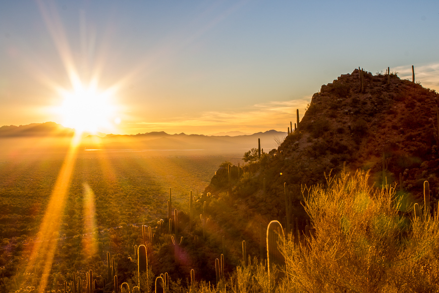 11 Reasons You Need to Make Tucson Your Next Destination