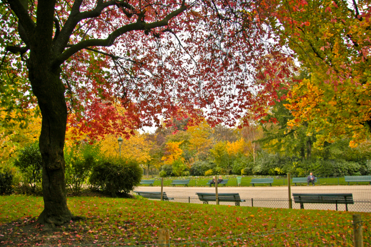 Daily Daydream: Parc Monceau, Paris