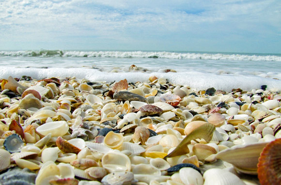 Lighthouse Beach, Sanibel Island, Florida