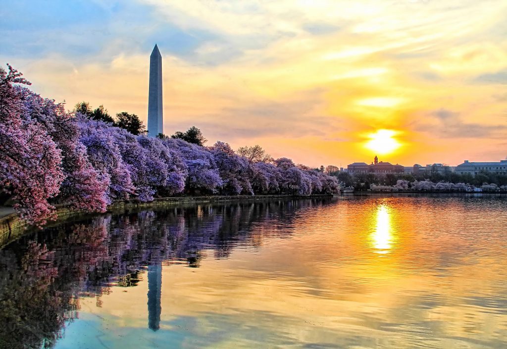 9 Best Washington, D.C. Apps for Travelers