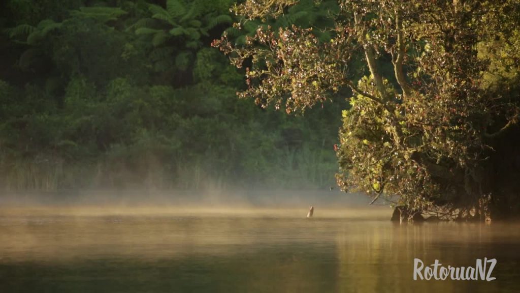 Rotorua Backpacker Video