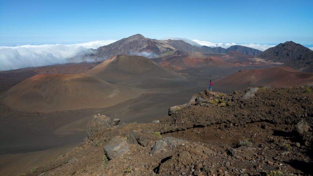 A Year of National Parks: Your Month-by-Month Guide to America's Best Idea