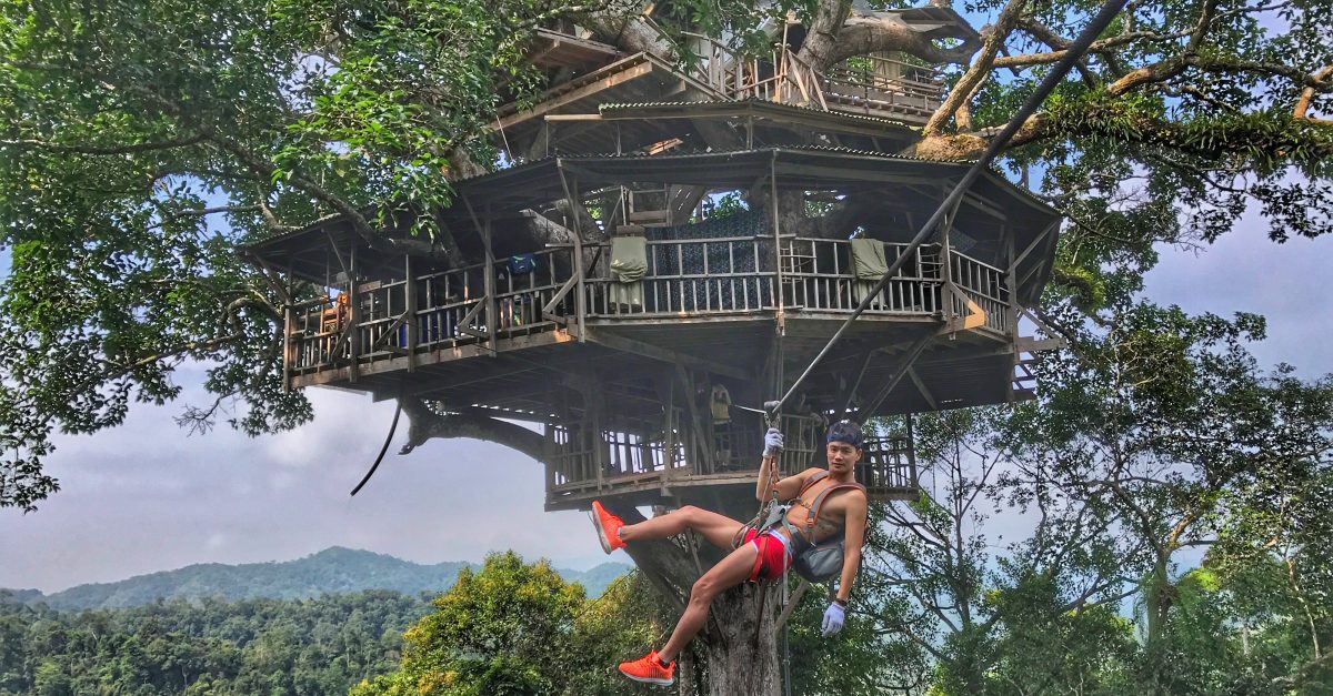 10 Most Incredible Tree House Hotels in the World