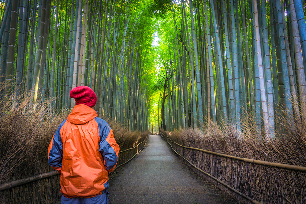 arashiyama Bambuswald kyoto japan