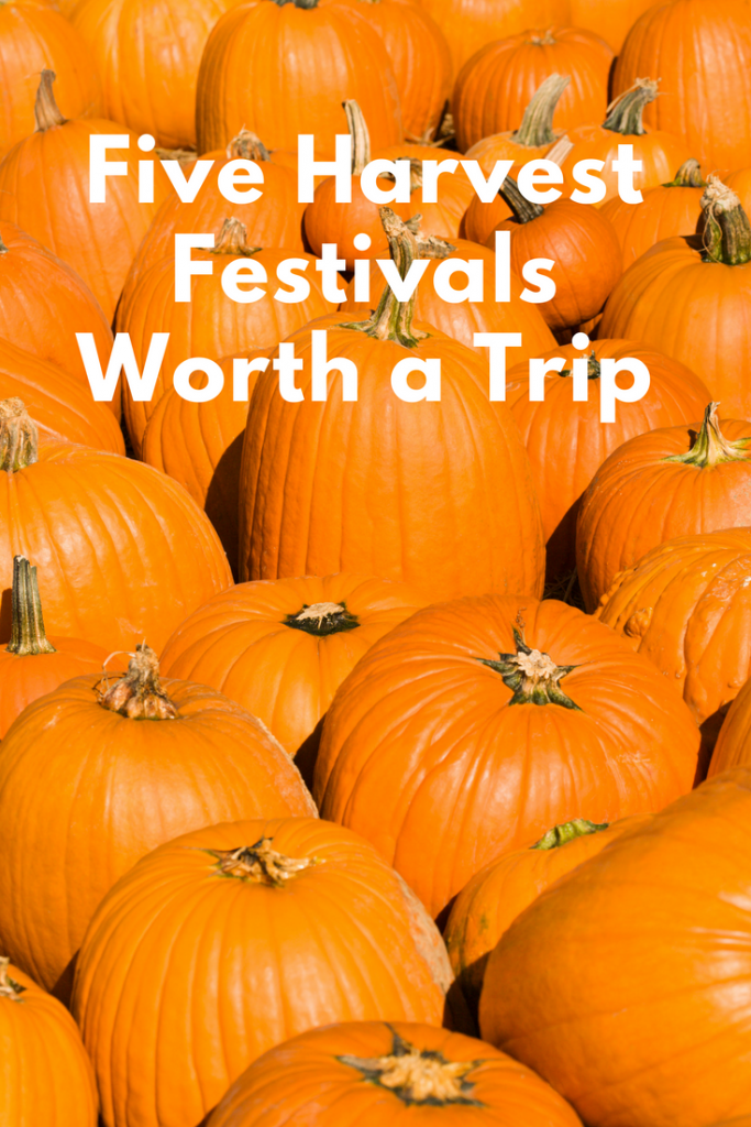 Five Harvest Festivals Worth A Trip   Five Harvest Festivals Worth A Trip 683x1024 