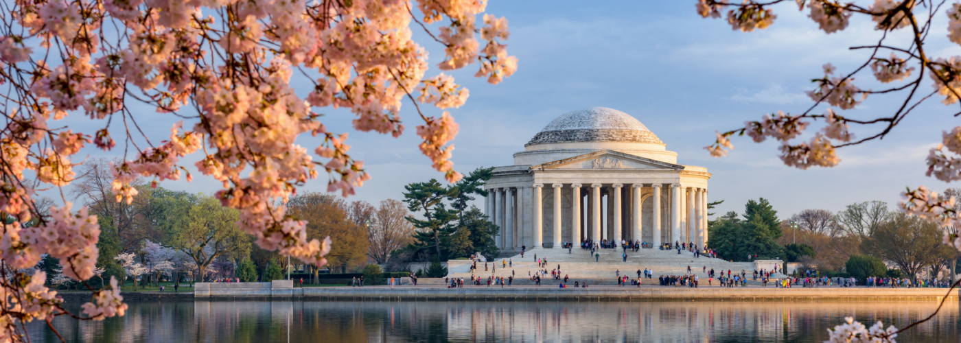 8 Fun Things to Do in Washington, D.C.