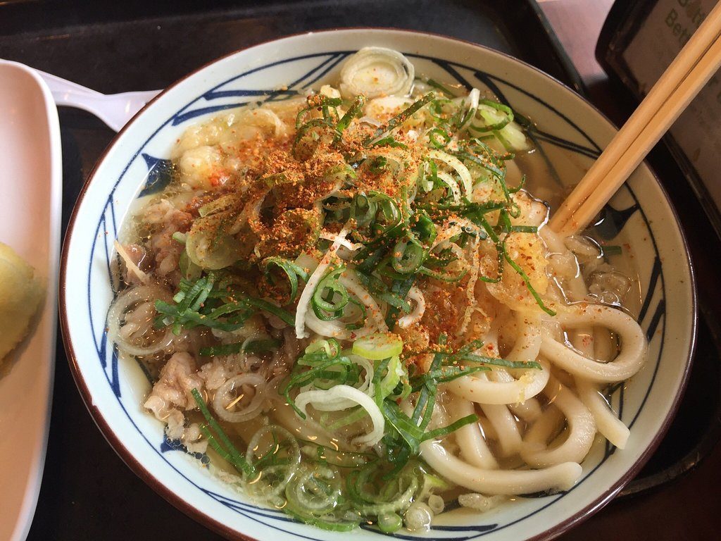 Marukame udon