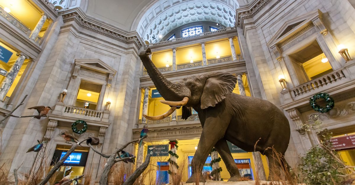 Visit Museums Across the U.S. for Free This Saturday