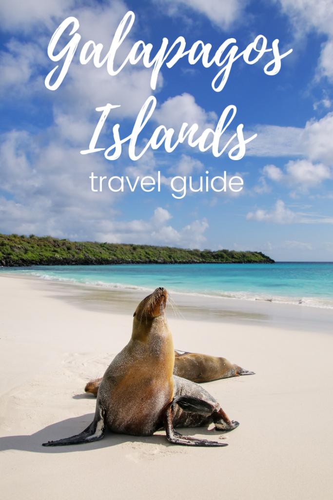 Galapagos Islands Travel Guide: Visit the Galapagos - SmarterTravel