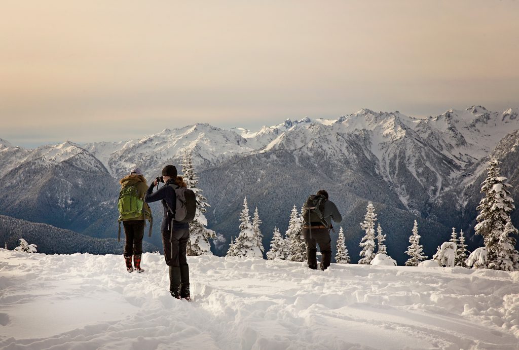 Olympic national park