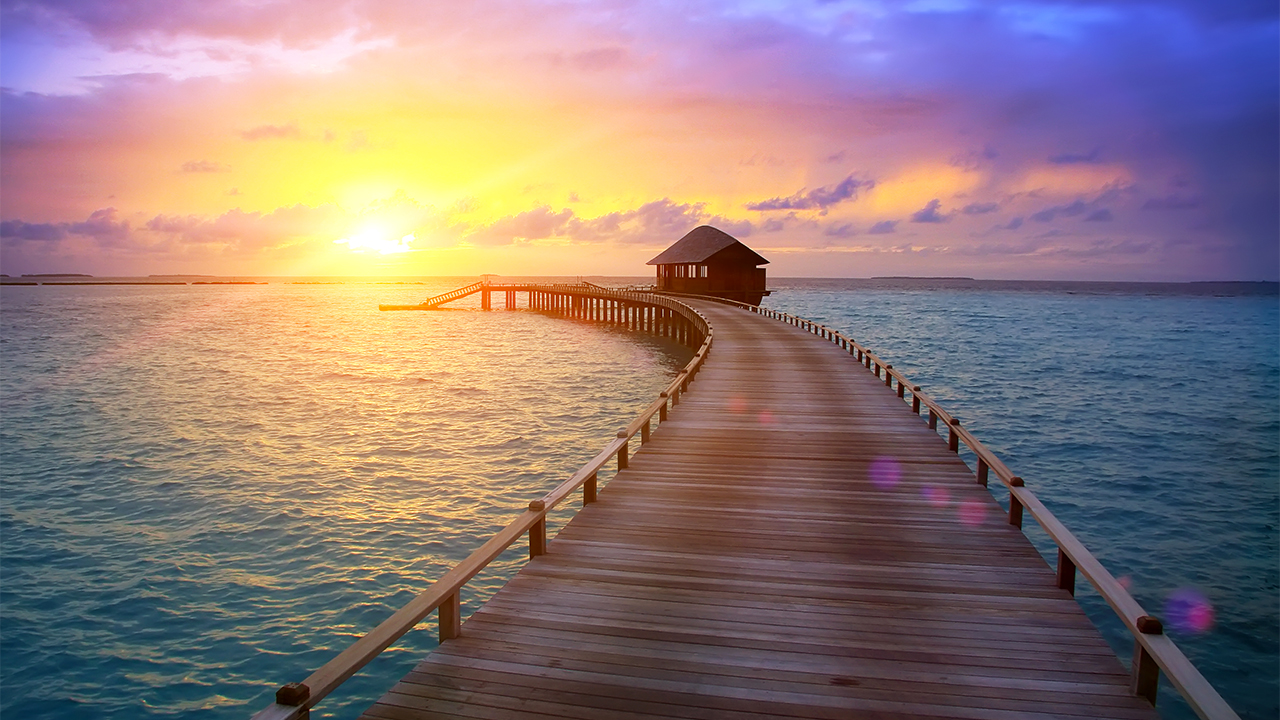 zoom virtual background video download free beach