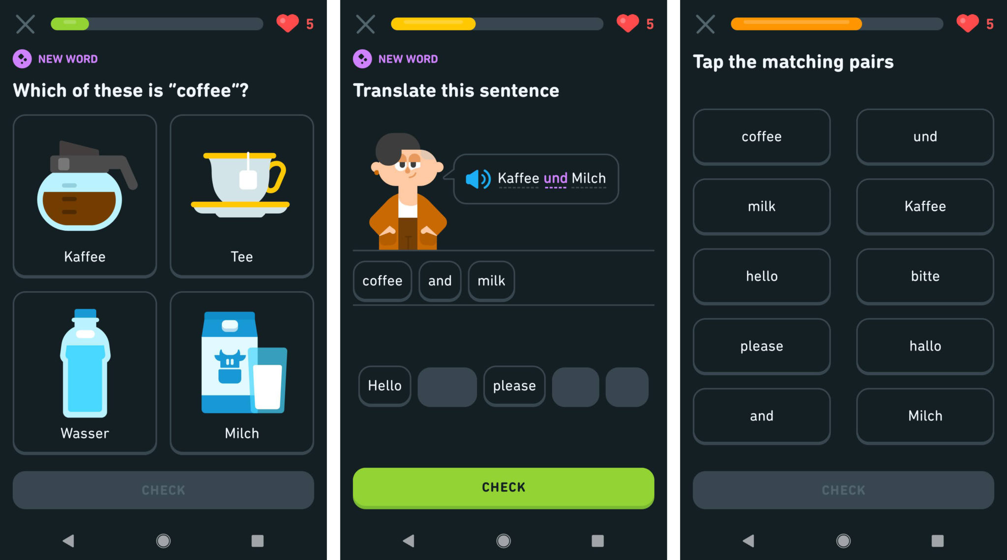 Can You Become Fluent In A Language With Duolingo?