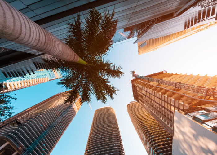 Skyscrapers and palm trees in downtown Miami as seen from below