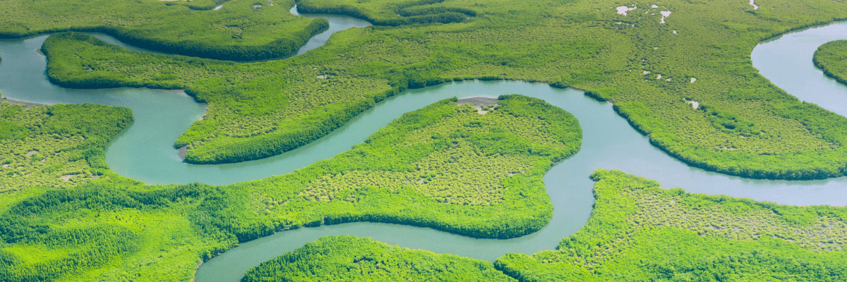 Safe Travel Tips for Brazil