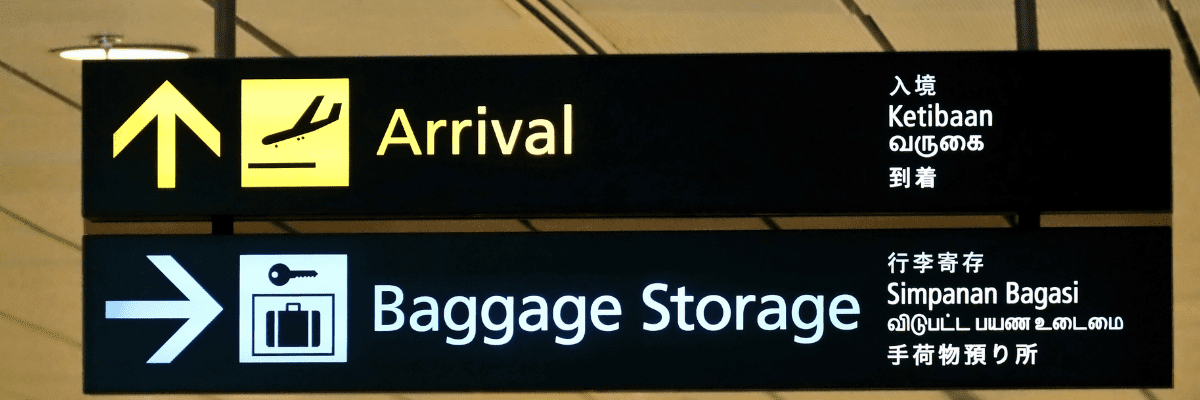 What to Do With Your Luggage During a Layover?