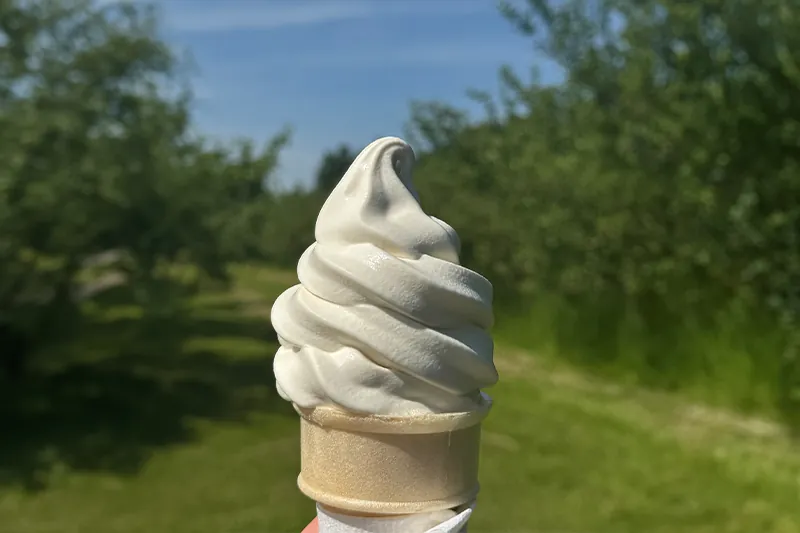 Maple Creemee from Allenholm Farm
