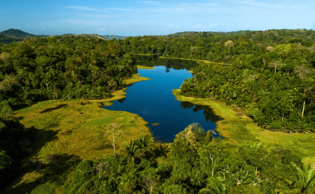 Aerial shot of tropical rainforest, Soberania National Park, Panama Canal, Panama 